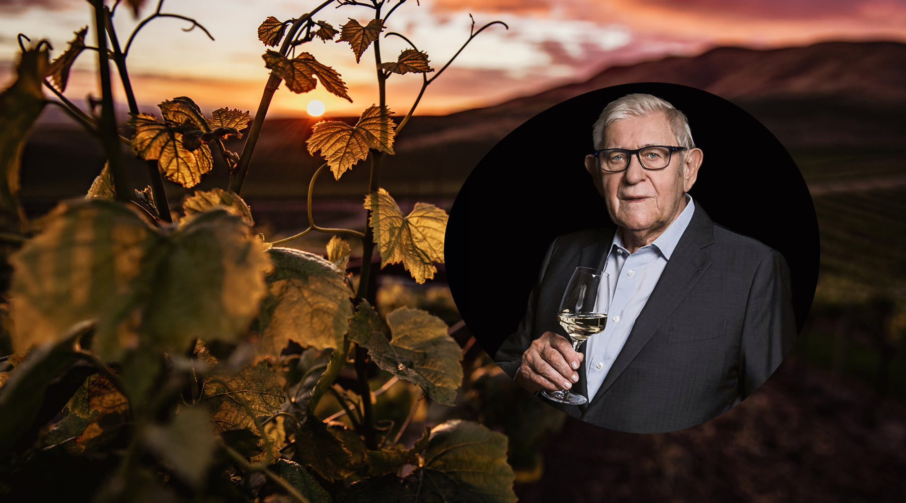 „Ak chcete vedieť aké je vaše víno, nesmiete sa báť ísť s kožou na trh.”