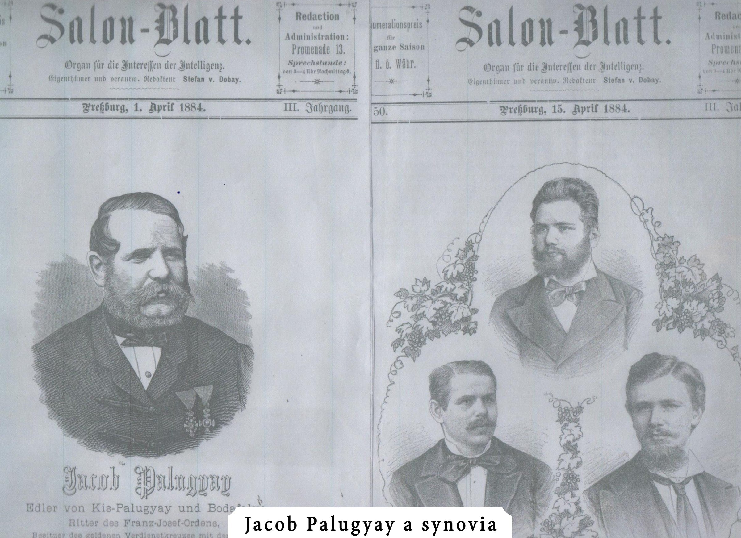 Jacob Palugyay a synovia