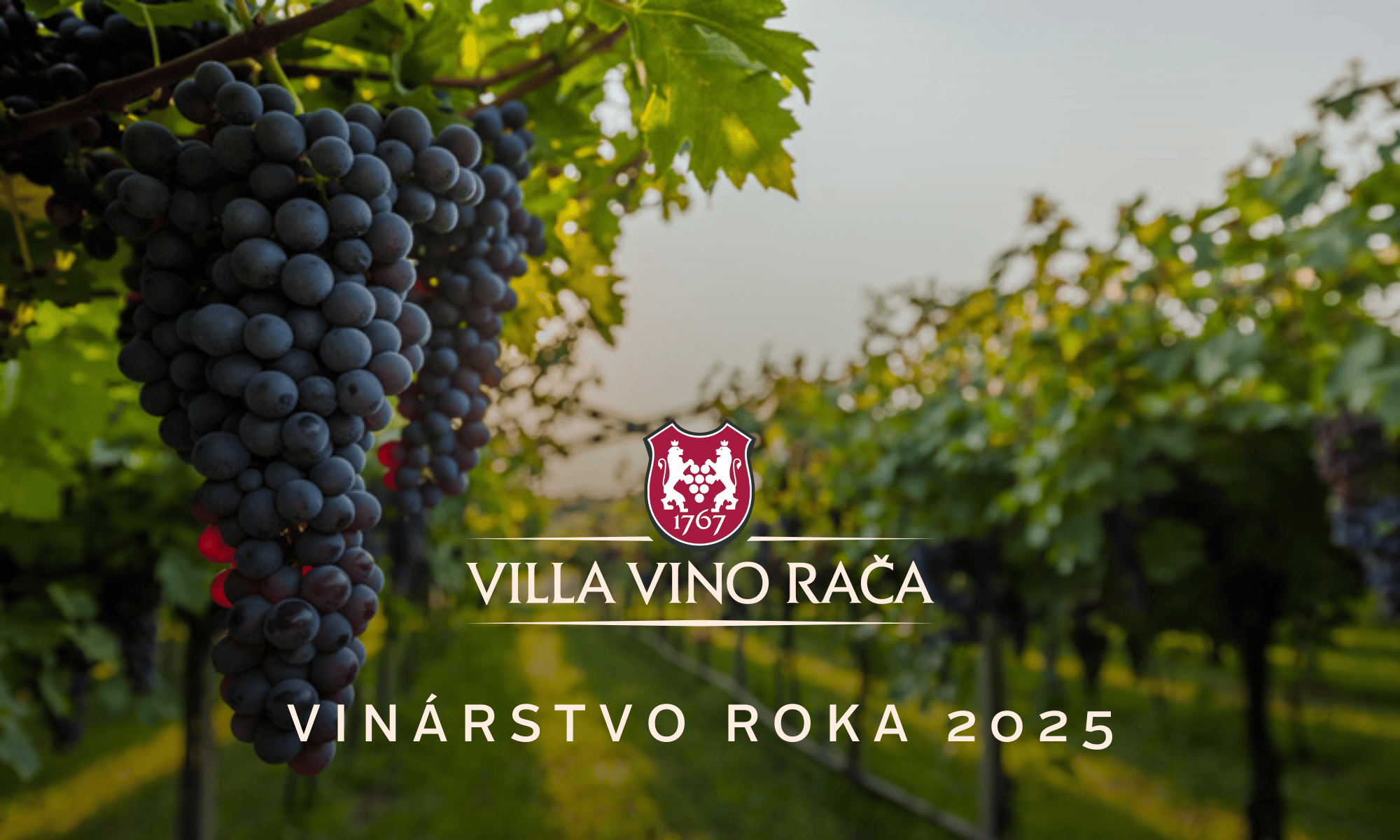 Logo Villa Vino Rača vinárstvo roka 2025 a vinohrad v pozadí