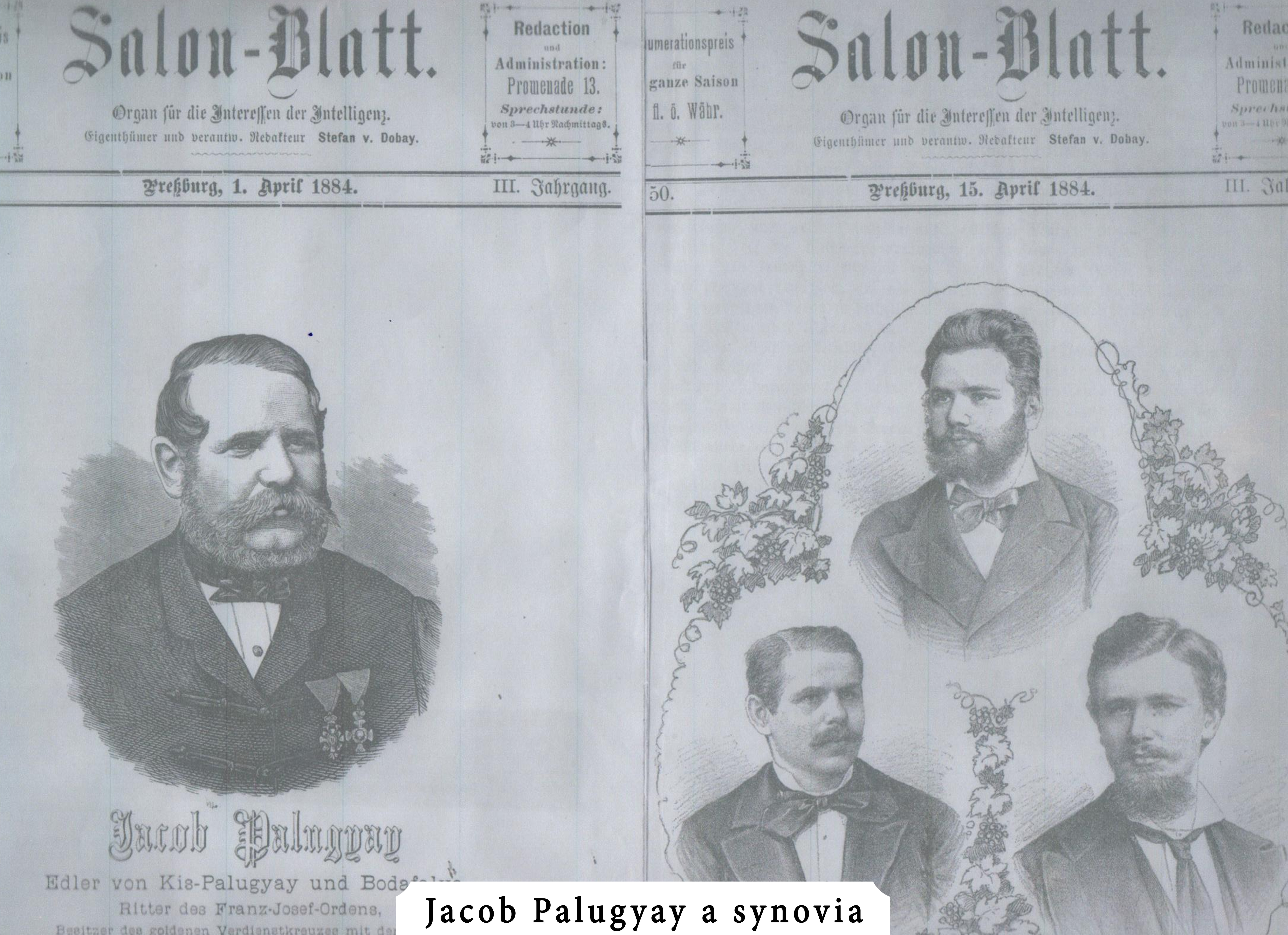 Jacob Palugyay a synovia